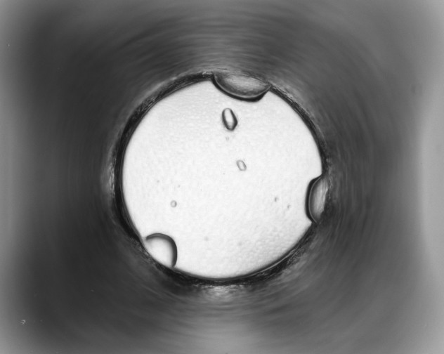 X0000088020584200706081443