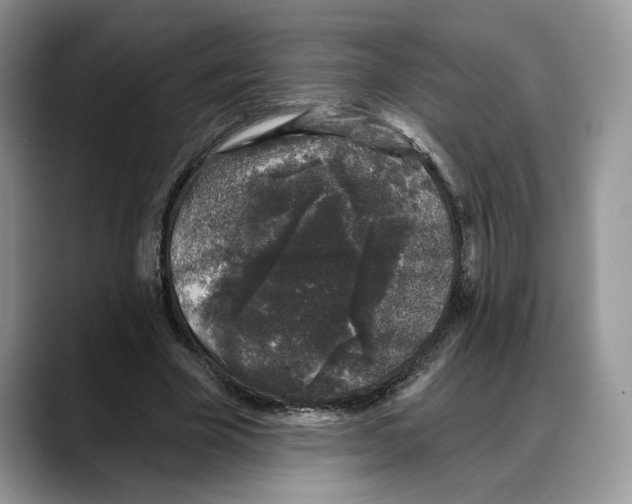 X0000088020585200706081443
