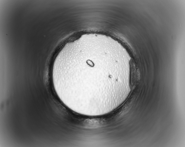 X0000088020588200706081443