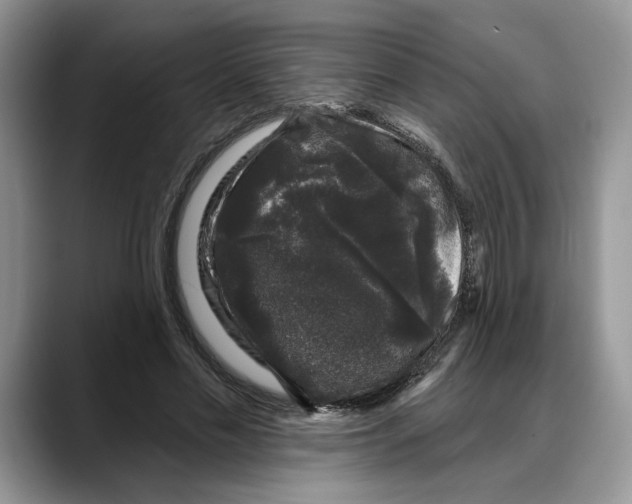 X0000088020589200706081443