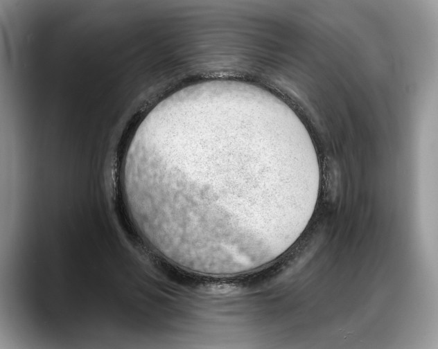 X0000088020590200706081443