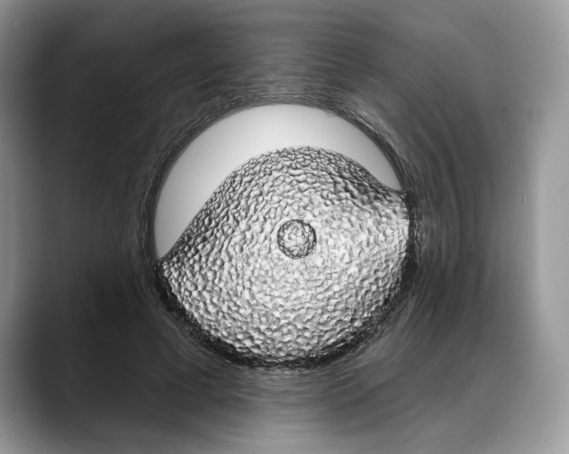 X0000088020593200706081443