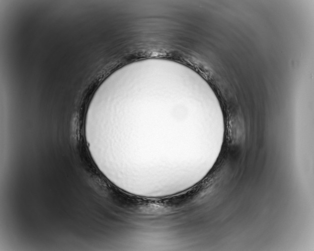 X0000088020594200706081443