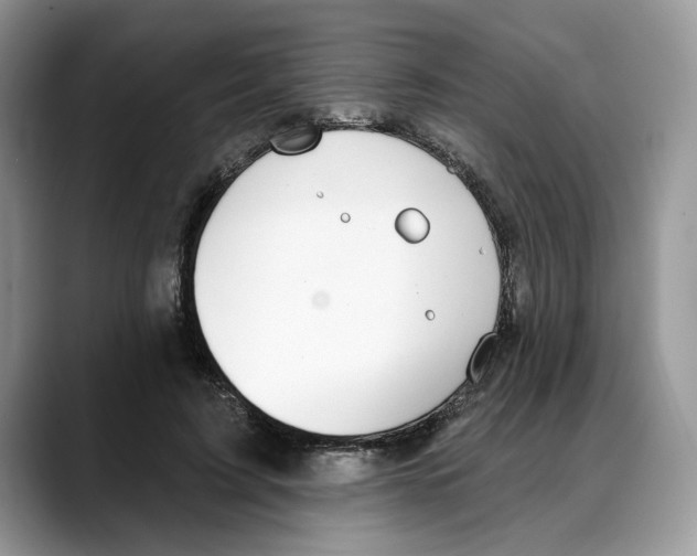 X0000088020595200706081443