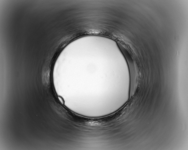 X0000088020596200706081443