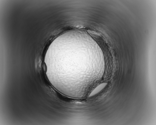 X0000088020597200706081443