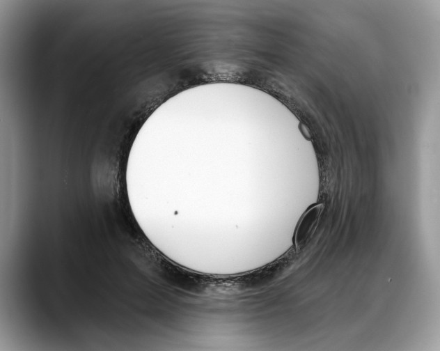 X0000088020599200706081443