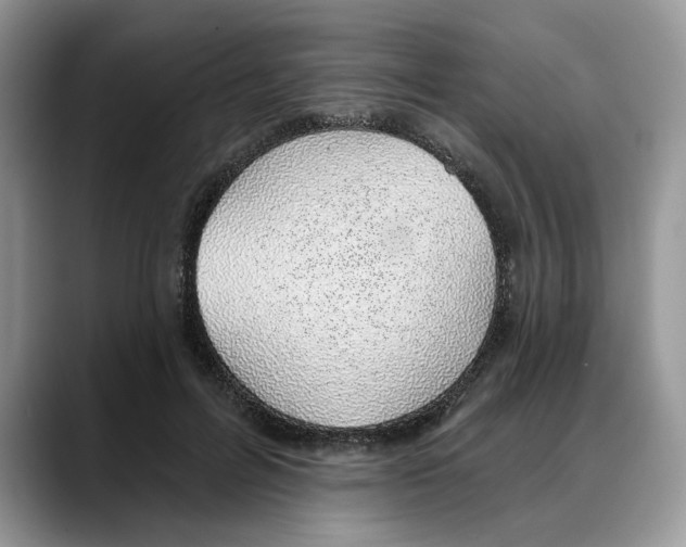 X0000088020600200706081443