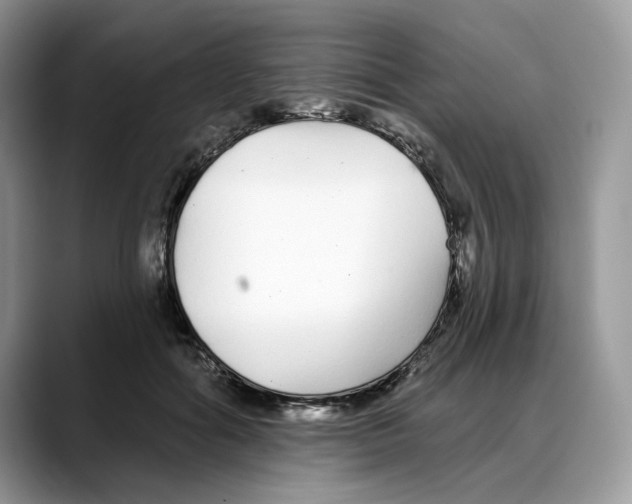 X0000088020602200706081443