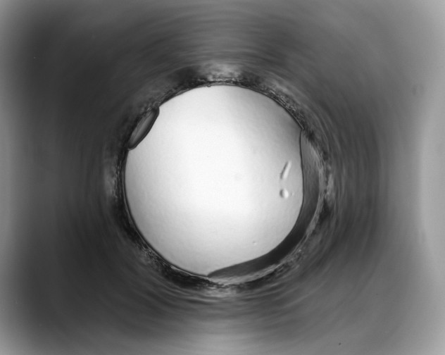 X0000088020604200706081443