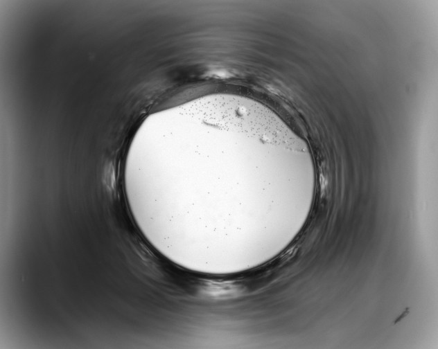 X0000088020605200706081443