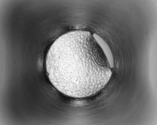 X0000088020608200706081443