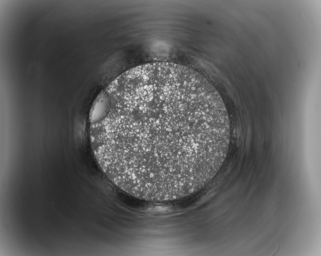 X0000088020610200706081443