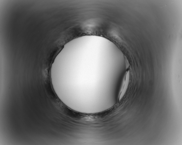 X0000088020611200706081443
