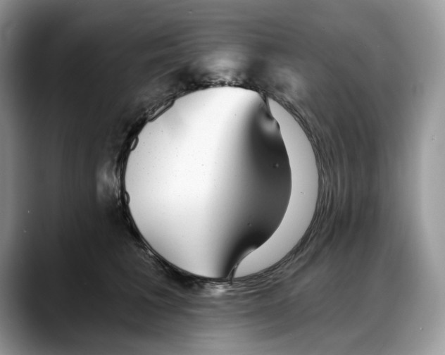 X0000088020613200706081443