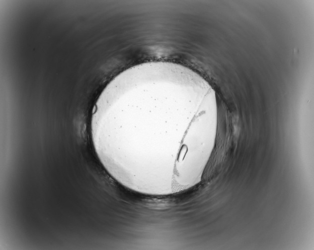 X0000088020615200706081442