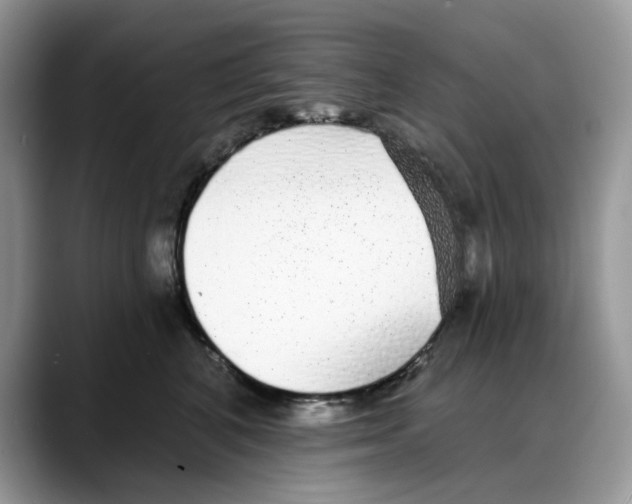 X0000088020616200706081442