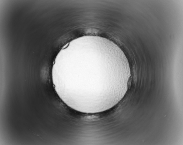 X0000088020619200706081442
