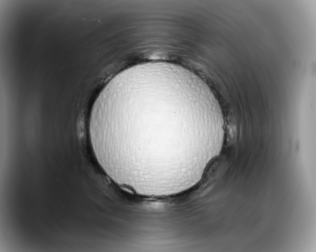 X0000088020620200706081442