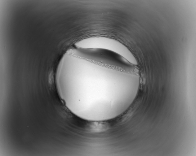 X0000088020623200706081442