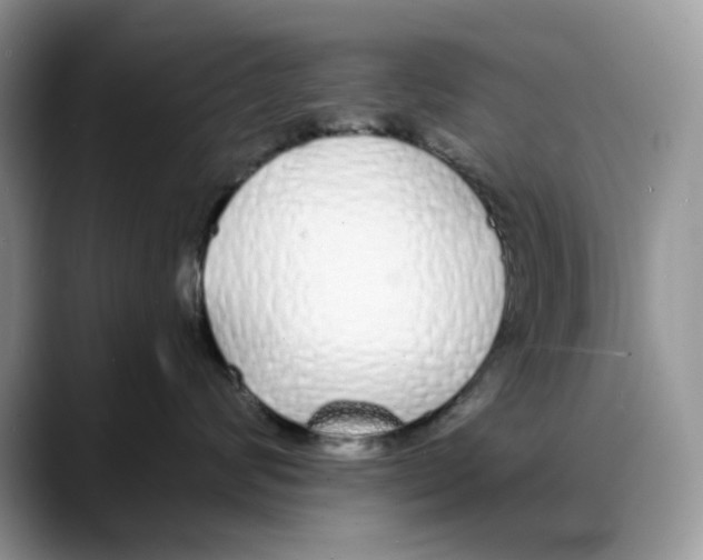 X0000088020624200706081442
