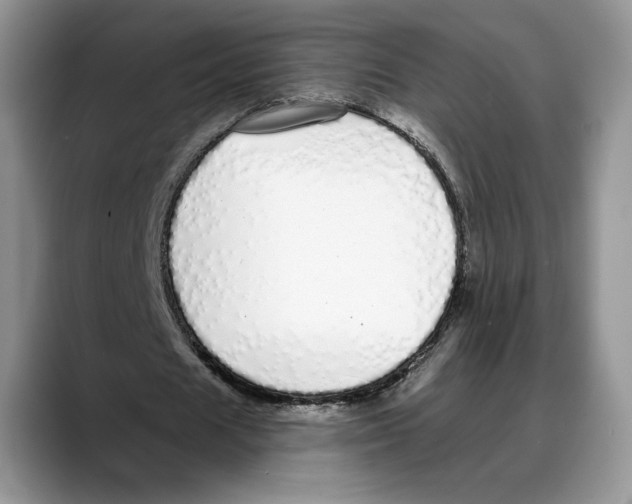 X0000088020625200706081442