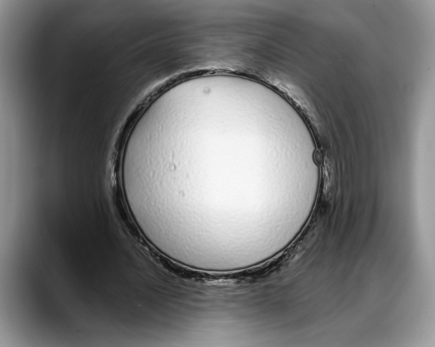 X0000088020628200706081442
