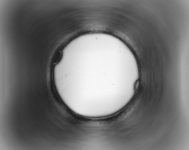 X0000088020629200706081442