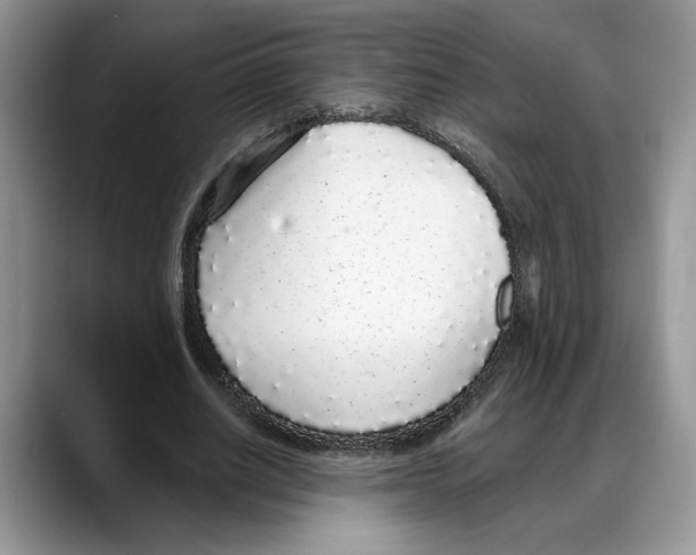 X0000088020630200706081442