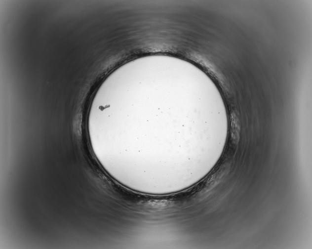 X0000088020631200706081442