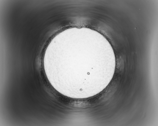 X0000088020632200706081442