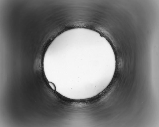 X0000088020633200706081442