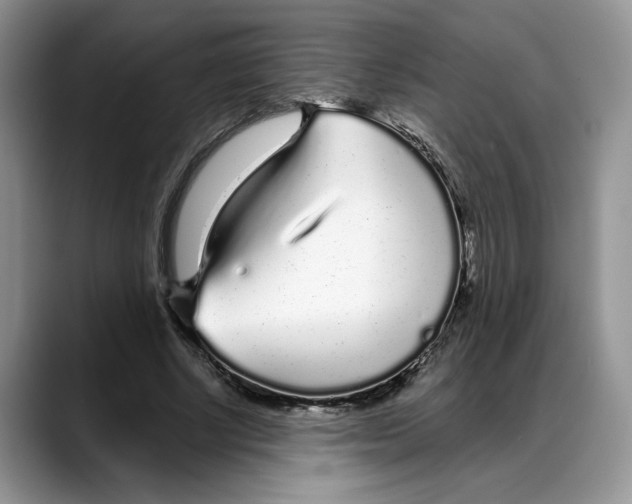 X0000088020634200706081442