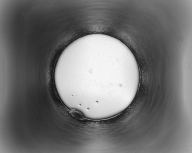 X0000088020635200706081442