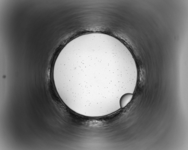 X0000088020636200706081442