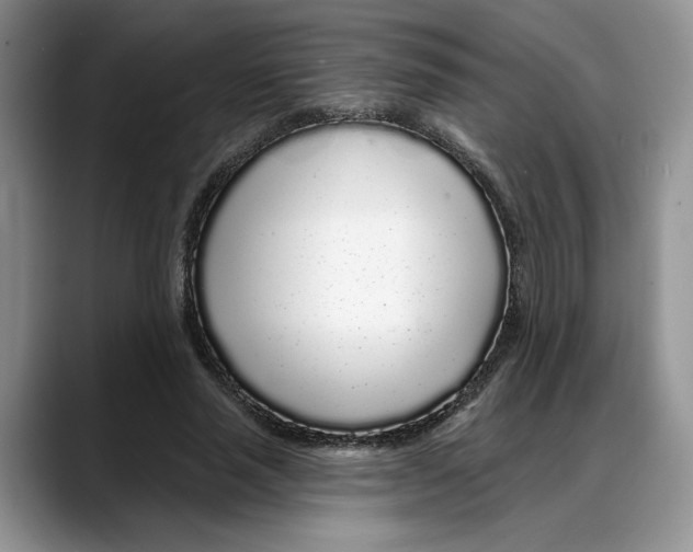 X0000088020637200706081442