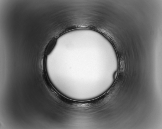 X0000088020638200706081442