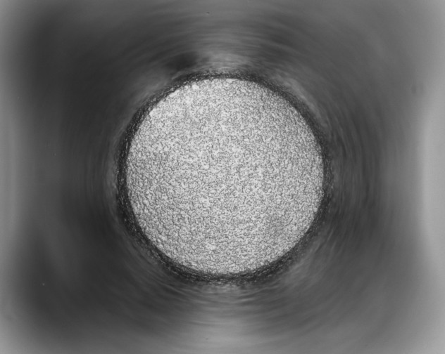 X0000088020640200706081442