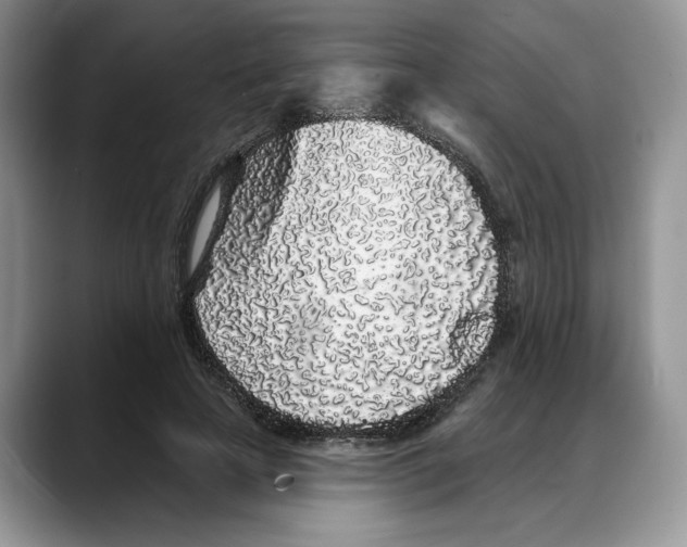 X0000088020641200706081442