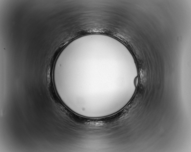 X0000088020642200706081442