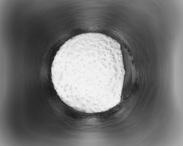 X0000088020643200706081442