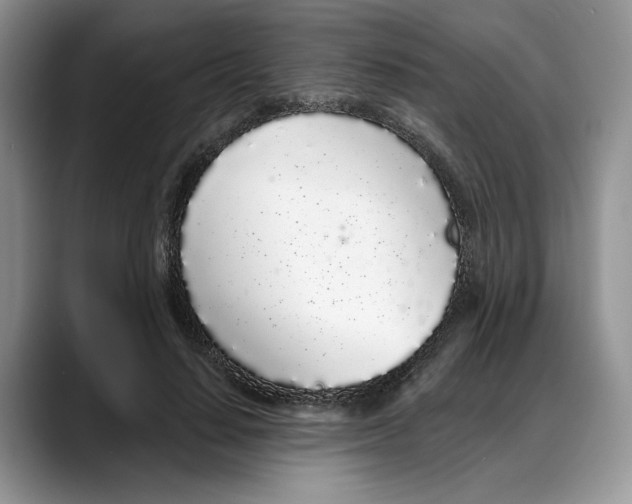 X0000088020644200706081442