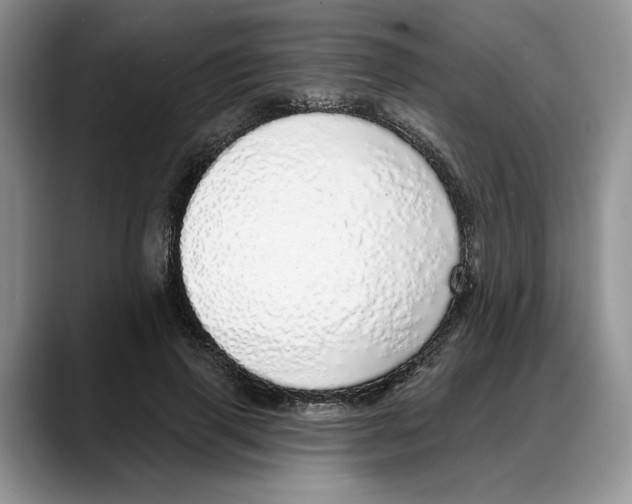 X0000088020645200706081442
