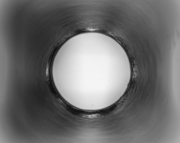 X0000088020646200706081442