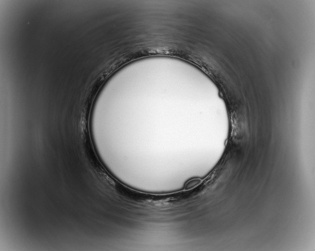X0000088020648200706081442