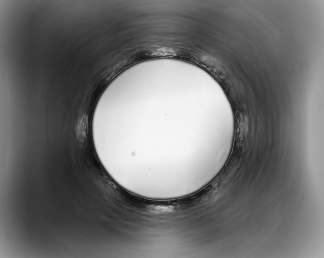 X0000088020649200706081442