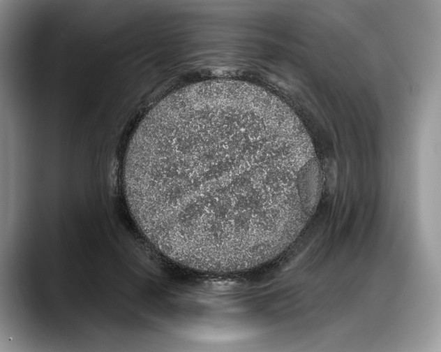 X0000088020650200706081442