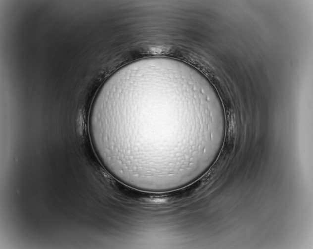 X0000088020651200706081442