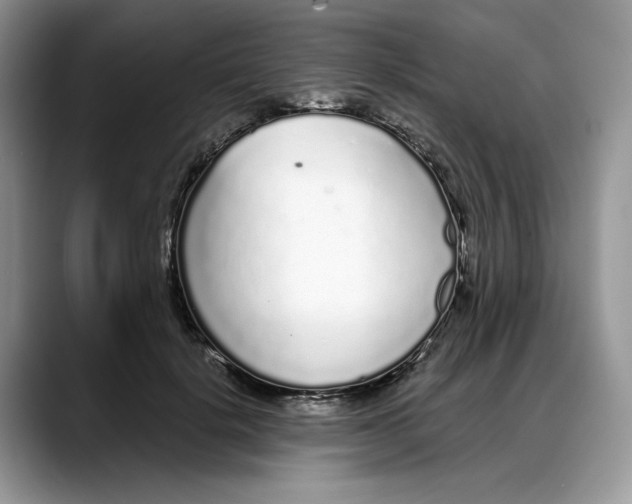 X0000088020652200706081442