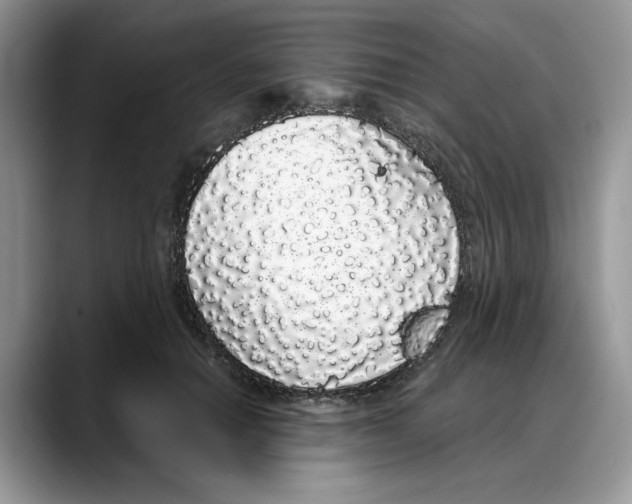 X0000088020654200706081442
